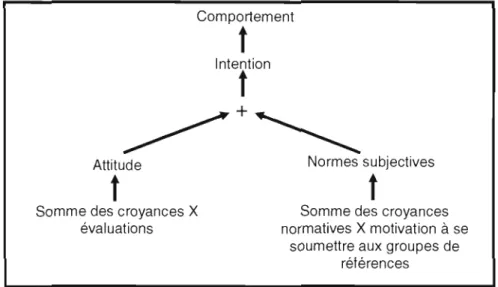 Figure 2.1  Modèle général  de Fishbein (1967) 