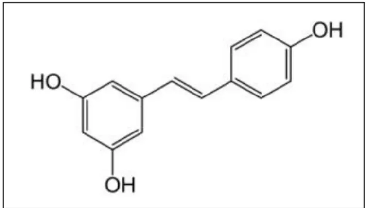 Figure 23 : Structure chimique du resvératrol [86] 