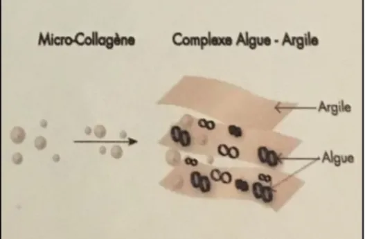 Figure 19 : Le micro-collagène vectorisé de la gamme Resultime [66] 