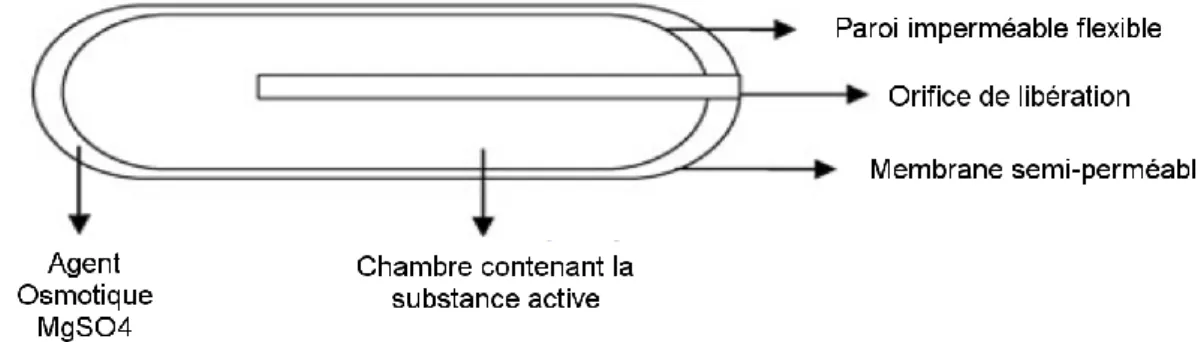Figure 3. Pompe de Theeuwes et Higuchi, adaptée de (4). 