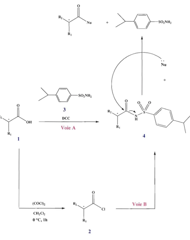 Figure  2.2  Les voies de  la synthèse du N-acylarylsulfonamide [Ishizuka,  N  et al.,  2000) 