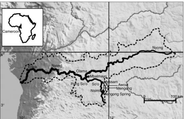 Fig. 1. The Nyong basin, sampling sites (shown in bold), and rivers sampled.