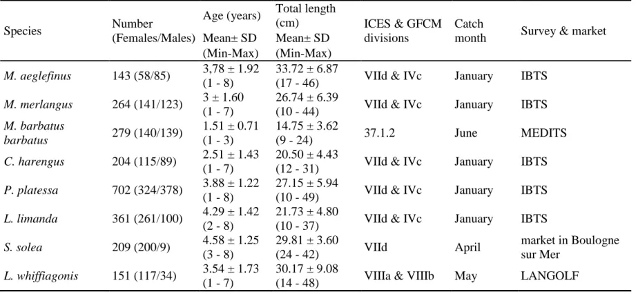 Table  I:  Roundfish  and  flatfish  samples.  The  number  of  individuals  collected  and  separated  between  females  and  males  are  given  for  each  species  together with indicators of the age and total length distributions in the sample (mean ± s