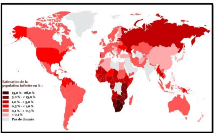Figure 1 : Prévalence de l’infection à VIH dans le monde (données ONU 2012) 