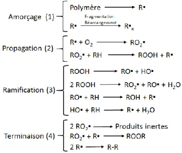 Figure 1.10 : Mécanisme général de la photooxydation d'un polymère (Gryn'ova et al., 2011) 