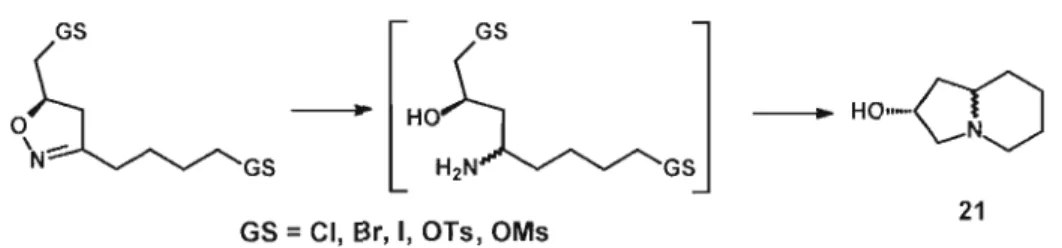 Figure 1.11  Synthèse de la 2-hydroxyindolizidine  à  partir d'une 2-isoxazoline. 