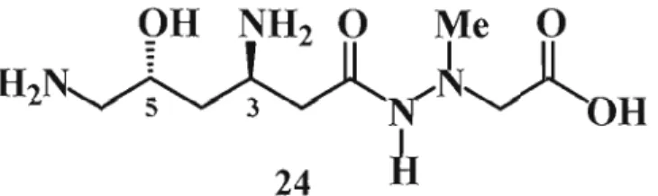 Figure 1.13  Structure de la (+)-négamycine. 