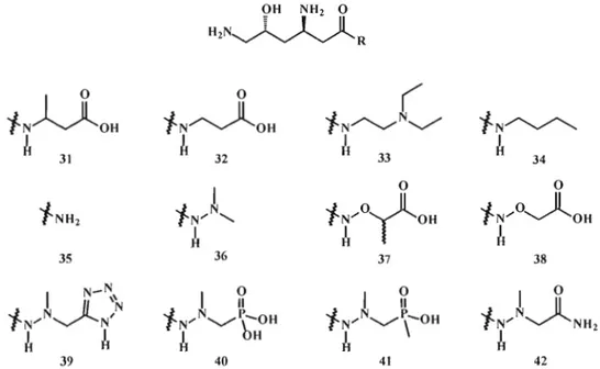 Figure  1.16  Analogues de la partie acide hydrazinoacétique de la (+)-négamycine. 