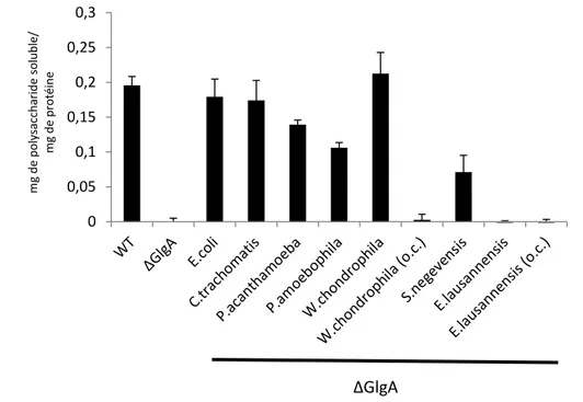 Figure  26 :  Dosage  en  milieu  M9  +  Maltose  de  la  quantité  de  glycogène  produit  par  une  complémentation  d’une  souche  déficiente  en  GlgA  d’E.coli  par  des  synthases  chlamydiennes