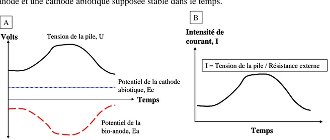 Fig  I.6  A)  allure  de  l’évolution  de  la  tension  de  la  pile  et  du  potentiel  des  électrodes  (bio- (bio-anode et cathode abiotique), B) allure de l’évolution de l’intensité de courant de la pile