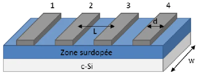 Figure II-6 : Bande de cellule solaire de largeur w comprenant 4 lignes métalliques de largeur d