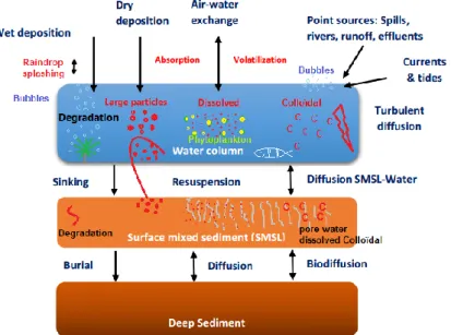 Fig. 4: Schematics of the processes driving the environmental fate of POPs in coastal waters  (modified Dachs and Méjanelle, 2010)