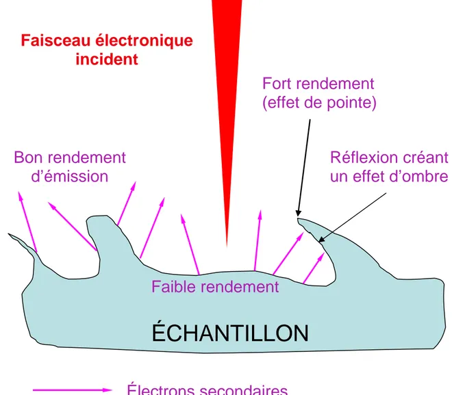 Figure 8 : Effets des irrégularités de surface sur le rendement d’émission des électrons  secondaires  D’après 30
