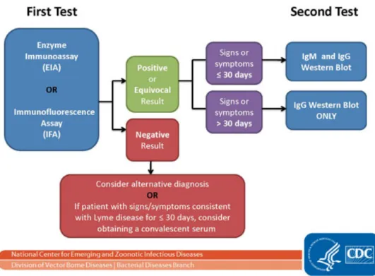 Figure 9 : Tests diagnostics à deux niveaux, d'après le CDC (63) 