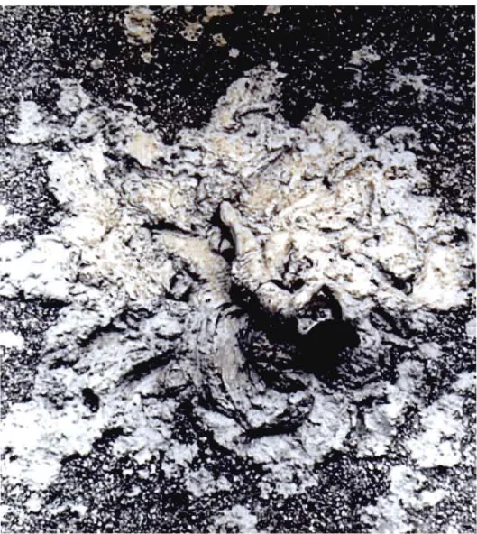 Figure 3.4 - Le  combat gagne en  intensité.  (Source: Gutai.com). 