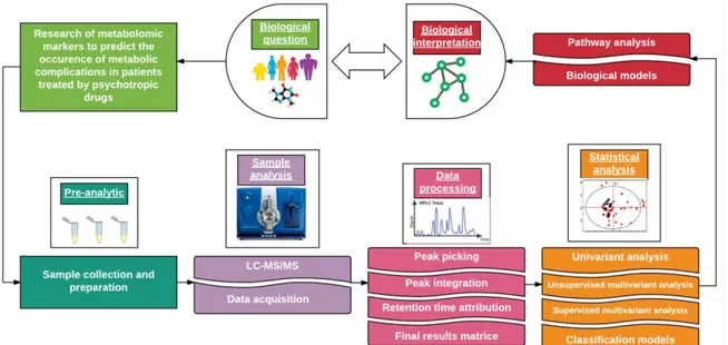 Figure 8 : Les grandes étapes de la démarche de métabolomique ciblée :  de la collecte d’échantillons à l’interprétation biologique