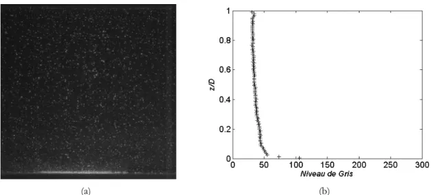 Figure 2.20 : Ecoulement diphasique homogène (a) image brute de la nappe laser (b) profil  vertical de niveau de gris moyen ( φφφφ =0.21,  U m =1.2m/s) 