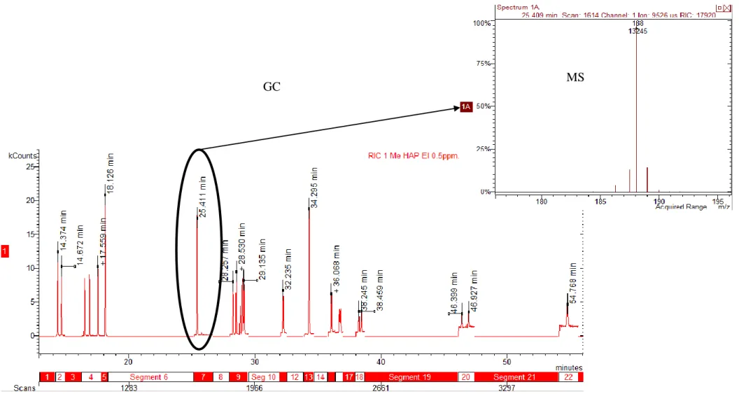 Figure  19:  Exemple  de  chromatogramme  de  mélange  de  standard  contenant  18  Me-HAP  à  0.15ppm  ainsi  que  les  fragments  m/z  pour  la  molécule à TR 25.41 mn 