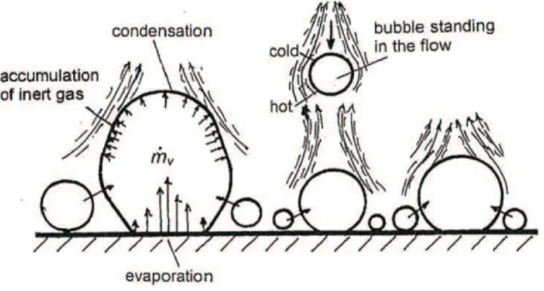 Figure 1.4.: Convection Marangoni lors de l’ébullition en microgravité, source : (Straub, 2001)