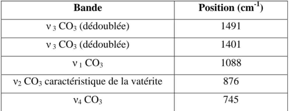 Tableau II-5 : Principales bandes d’absorption infrarouge de la vatérite synthétisée (V1 ou  V2)  Bande Position (cm-1)  ν  3  CO 3  (dédoublée)  1491  ν  3  CO 3  (dédoublée)  1401  ν  1  CO 3  1088  ν 2  CO 3  caractéristique de la vatérite  876  ν 4  CO