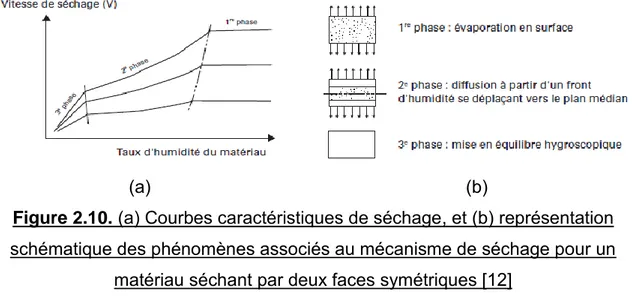 Figure 2.10. (a) Courbes caractéristiques de séchage, et (b) représentation  schématique des phénomènes associés au mécanisme de séchage pour un 