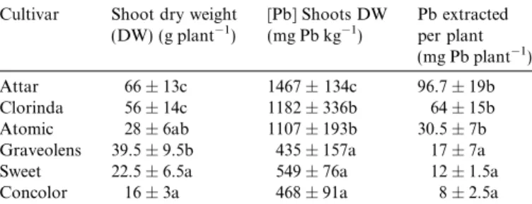 Fig. 1. Lead accumulation (2004) by three Pelargonium cultivars on two soils [B (h) and T (j)]