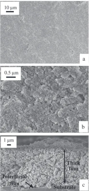 Fig. 2. S.E.M. micrographs of duplex NiO–YSZ composite ﬁlms deposited on dense steel after annealing at 800 °C in air during 2 h: (a, b) surface, (c) cross-section.
