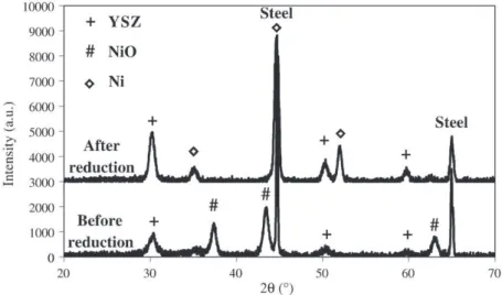 Fig. 4. S.E.M. micrographs of thick Ni–YSZ cermet ﬁlm after reduction at 800 °C–1 h under hydrogen: (a, b) surface.