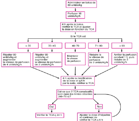 Figure 18 : Protocole d’adaptation posologique de l’héparine en fonction du poids du patient