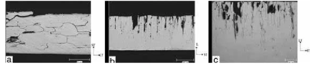 Figure I-13 : Micrographies de sections transverses après corrosion dans NaCl 1M à - -580mV/ECS sous O 2  en fonction de la direction de propagation (a) travers-court, (b) longitudinal 