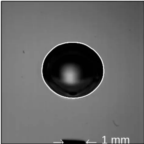 Fig. 1.7 – Comparaison entre l’image brute d’une bulle de diam`etre d eq =2,5 mm au d´etachement et la d´etection de son contour `a l’aide du logiciel Optimas.