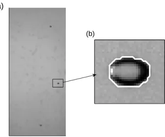 Fig. 1.9 – D´etection d’une bulle de diam`etre d eq =2,5 mm en ascension. (a) Vue principale et (b) d´etection du contour de la bulle superpos´e `a l’image brut.