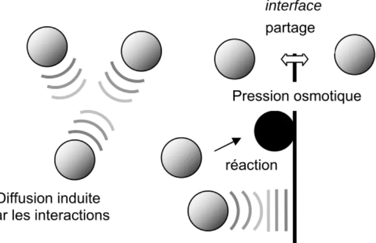 Figure 2-4 : Phénomènes résultant des interactions dans un fluide au repos 