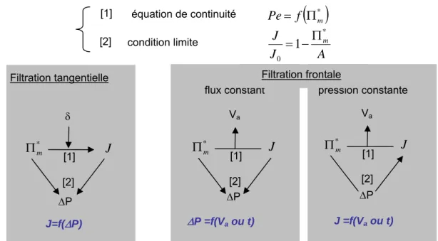 Figure 3-11 : Résolution du modèle de filtration à partir des deux équations de  transfert selon le mode de filtration