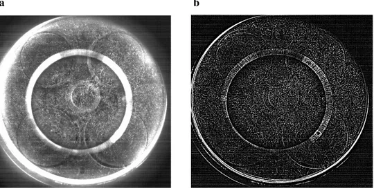 Figure 2-16  Image de particules obtenue en TRPIV au PMB.  a,  image brute ;  b,  image traitée en filtrage passe-haut