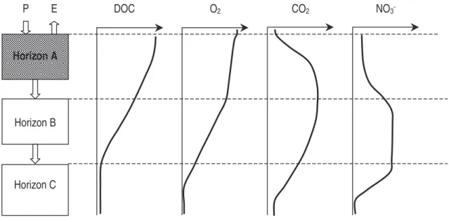 Figure 1.1- Evolution &#34;normale&#34; des teneurs en carbone organique dissous (DOC), en nitrates, en O 2 et en CO 2 dans les sols.