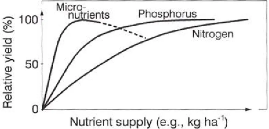 Figure 1.  R éponse de la plante à une  augmentation des teneurs en phosphore, azote et  oligo- éléments du sol (Marschner, 1997 ) 