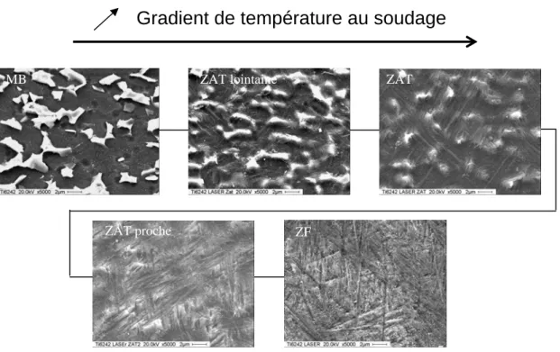 Figure 119: Gradient de microstructure entre le MB et la ZF dans  la soudure laser Ti6242/Ti6242