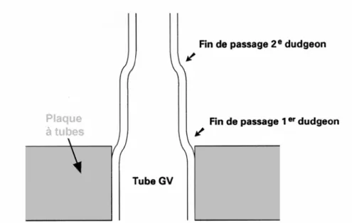 Figure I.2 : Schéma illustrant le dudgeonnage des tubes GV dans la plaque à tubes. 