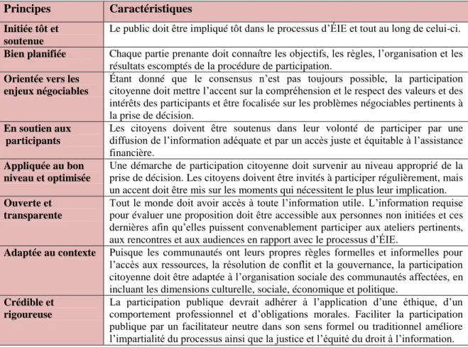 Tableau 2-5 : Principes directeurs pour une participation citoyenne réussie (inspiré de : André  et autres, 2006) 