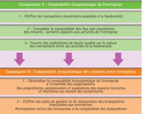 Figure 3.3 : Étapes du bilan biodiversité (tirée de : Houdet, 2010 b, p. 278). 