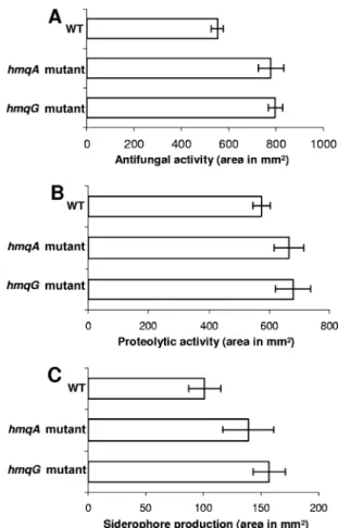 FIG. 6. Production in function of growth of C 8 -HSL by wild-type B.