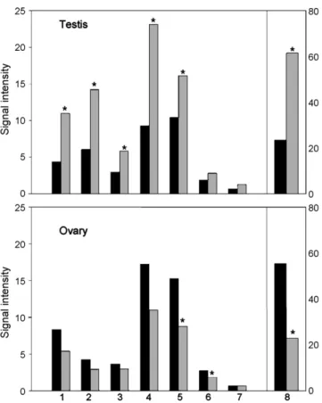 Fig. 8. Relative intensities of expression of stress response-related genes in the testis and ovary of day 20 fetal rats after administration of olive oil (black bars) or TBT (20 mg/kg) (gray bars) from gestational days 0 to 19