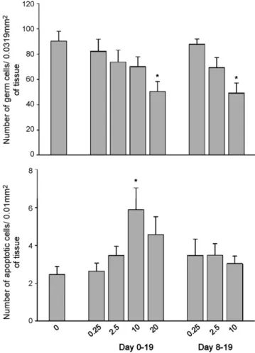 Fig. 6. The effect of in utero exposure to TBT on germ cells in the fetal ovary.