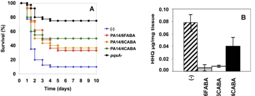 Figure 5. The AA Analogs Restrict Systemic Bacterial Proliferation, but Not Local Proliferation at the Infection Site