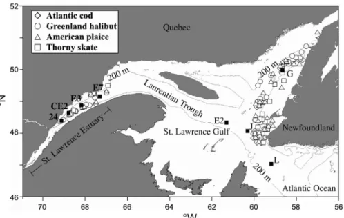 Fig. 1. Location of sediment sampling stations and sites of fish catches. Solid squares: sediment sampling stations with station designation; open symbols: