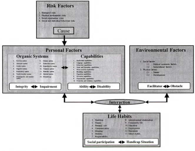 Figure 6.3 .1:  DCP model from  Fougeyrollas et al.  ( 1998) 