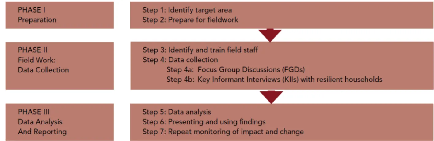 Figure 3.2 Phases and Steps in Undertaking a CoBRA Assessment (retrieved from: UNDP, 2014a)  Step 4a occurs in FGDs