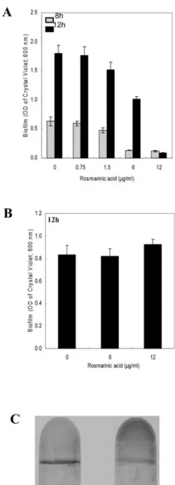 Figure 4. Effect of varying concentrations of RA on initiation of biofilm formation by strain PA14 (A) and disruption of preformed PA14 biofilms (B)