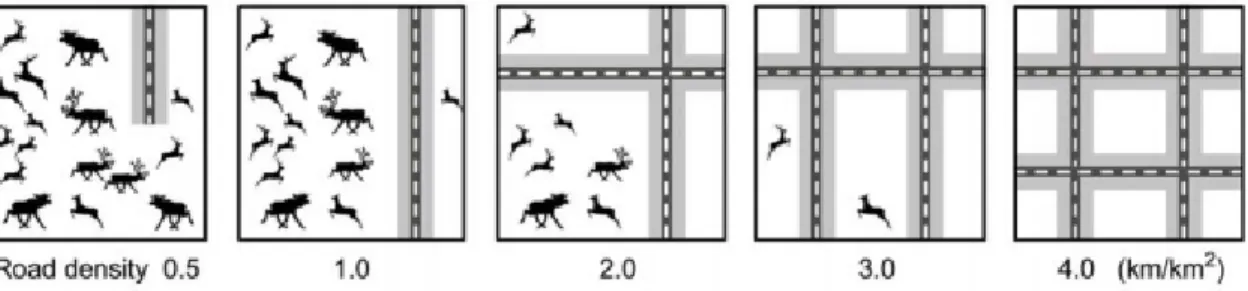 Figure 1.1. Effet des routes sur la faune, selon la densité du réseau (tiré de : Clevenger et Huisjer,  2011) 